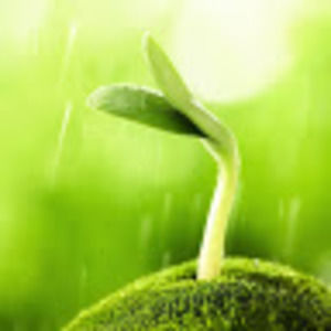 Meet your Posher, Olya